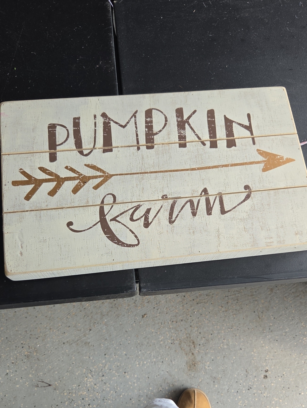 Pumpkin Farm Decorative Wood Sign - Neutral Cream and Brown